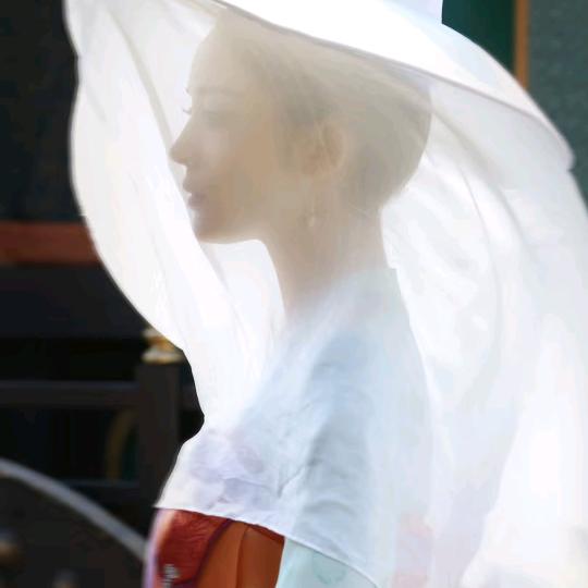 冬梅傲雪