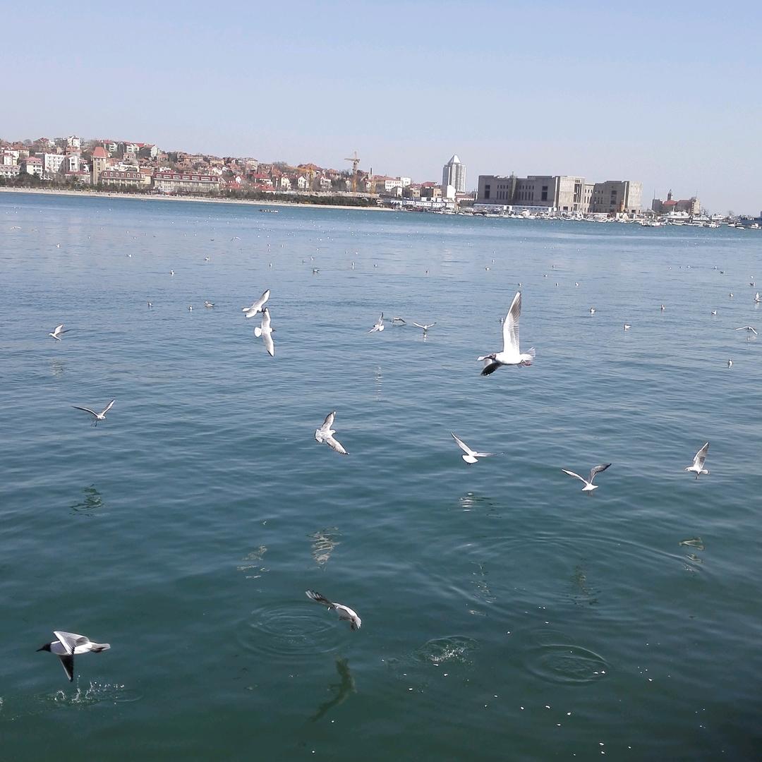 东阿剪叨手烫染理发室