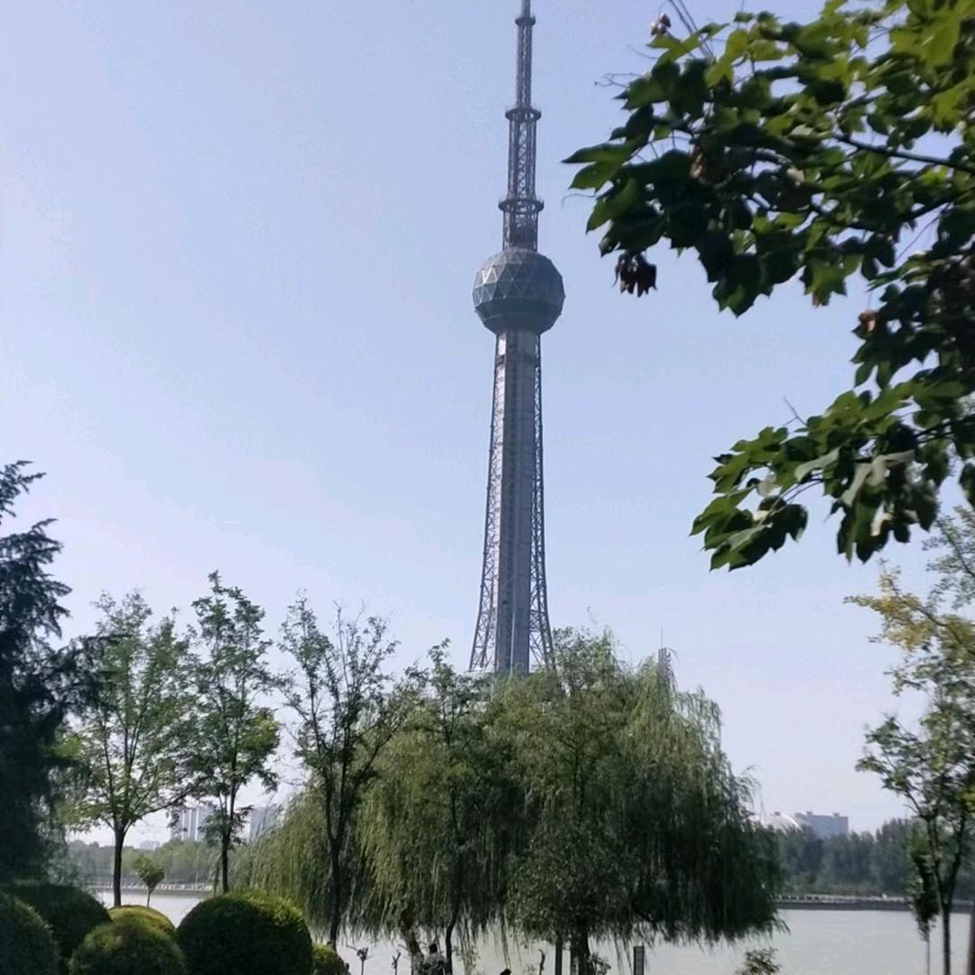 豫东小磊