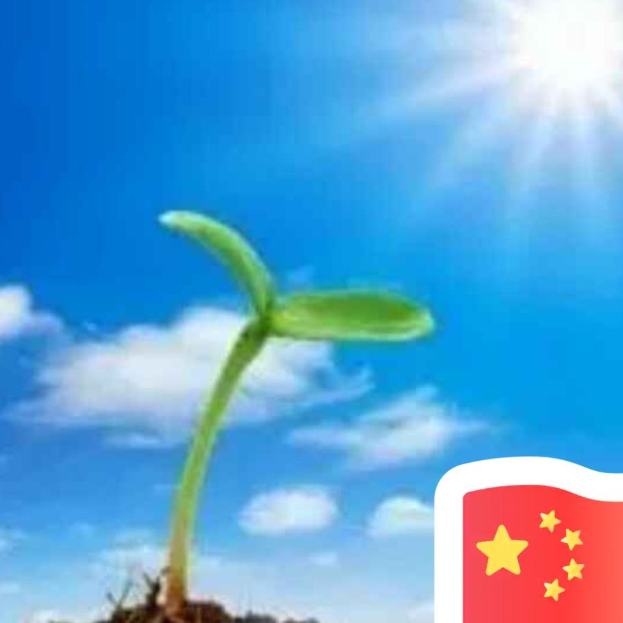 yaya