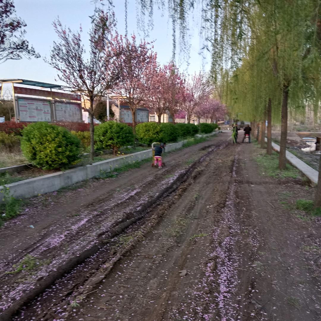 鄢ℒᎭℯ⃝࿐䳿