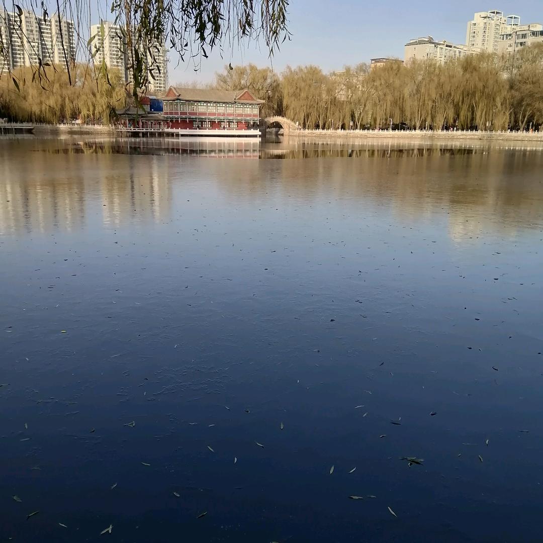 为开心