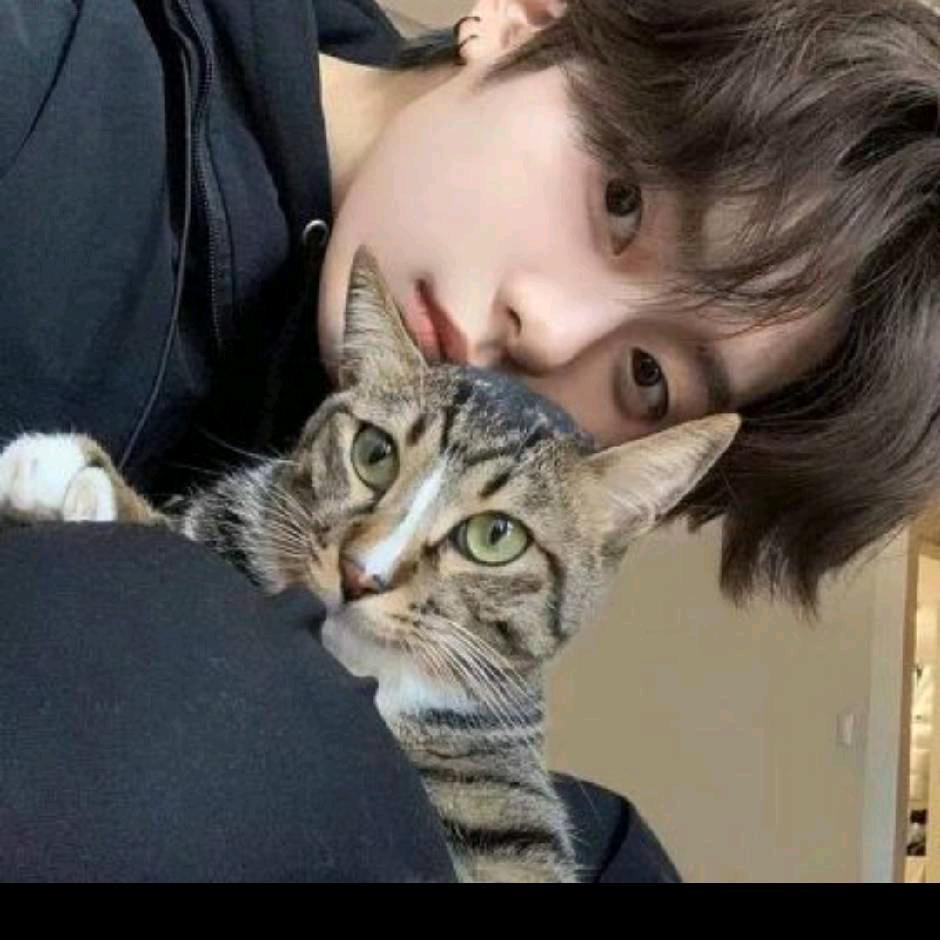 😾꧔ꦿ້໌ᮨ