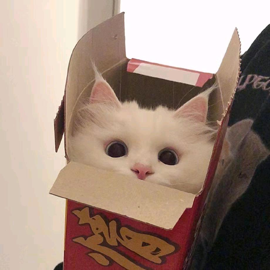 可爱咪西