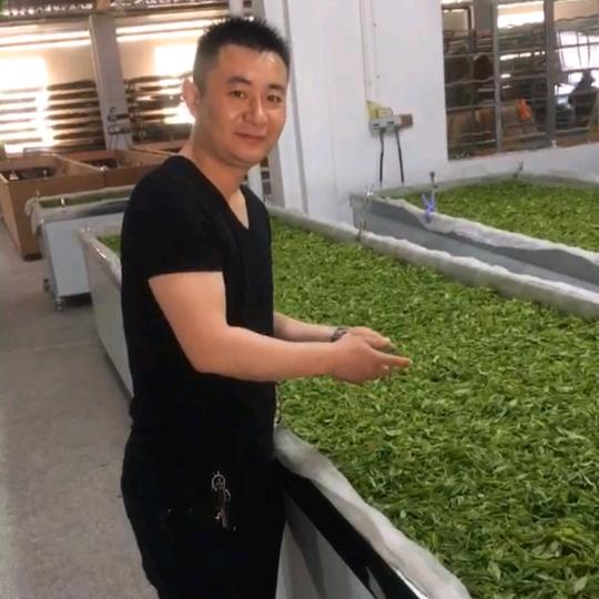 济宁济州茗茶