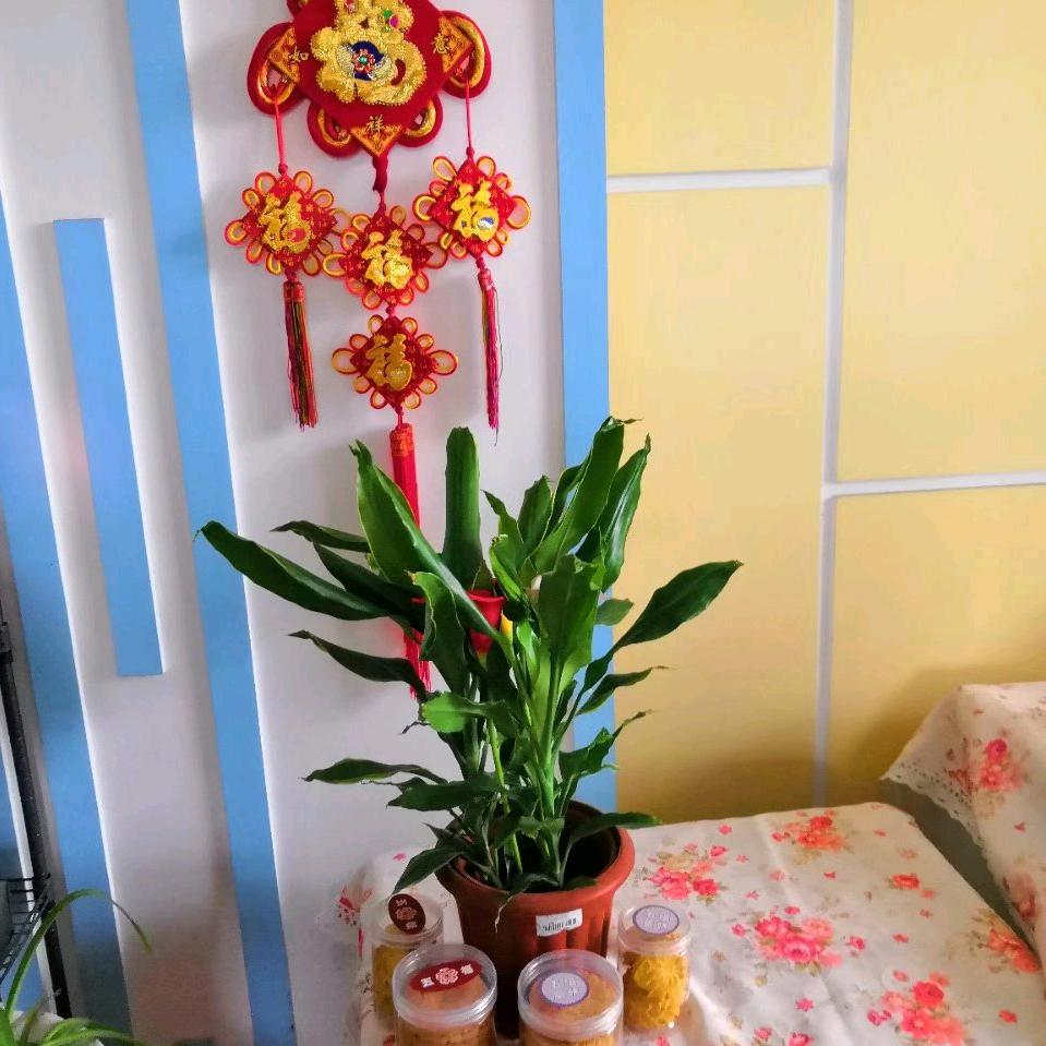 知足常乐