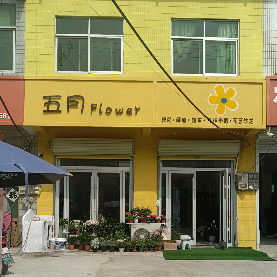 五月花店鲜花绿植气球派对