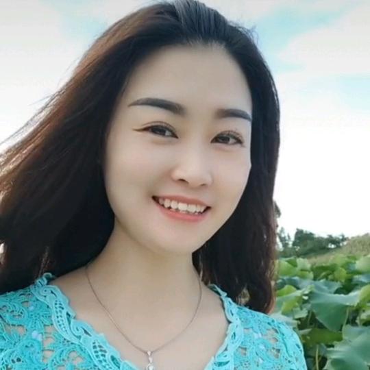 紫燕菲梦