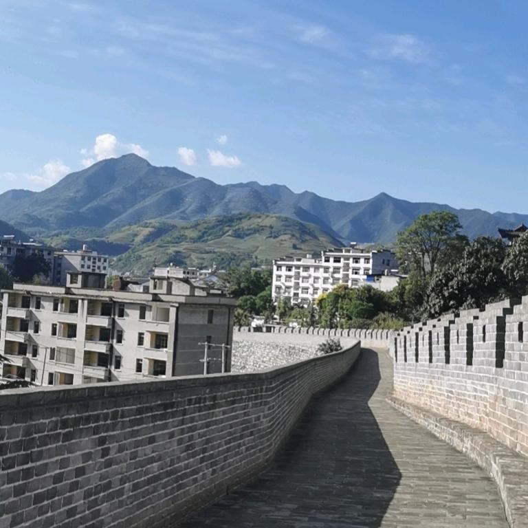 星陈大海🇨🇳
