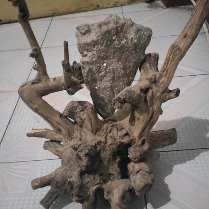 王