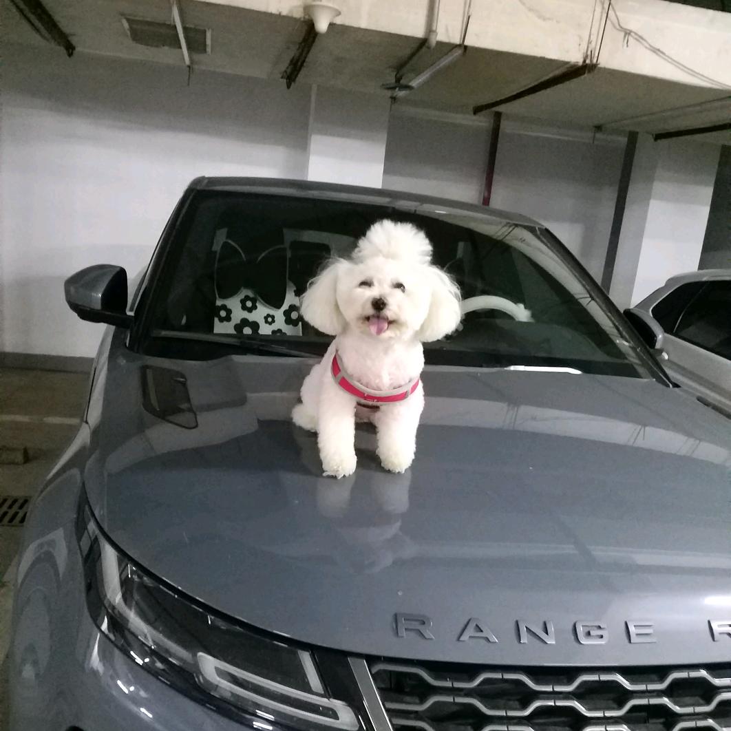 迪美家门窗