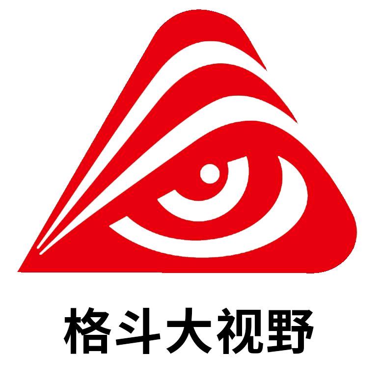 格斗大视野