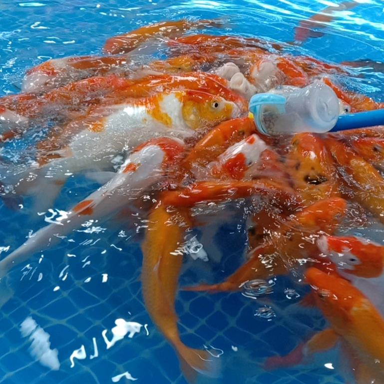 生命在于运动👊💪