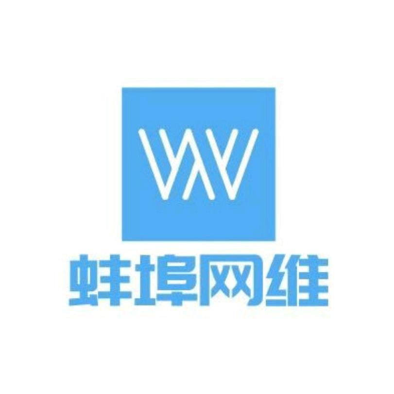 蚌埠网维科技