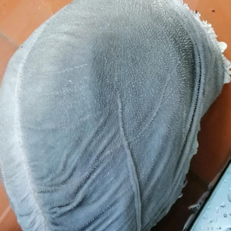 朝新纯鲜毛肚供应