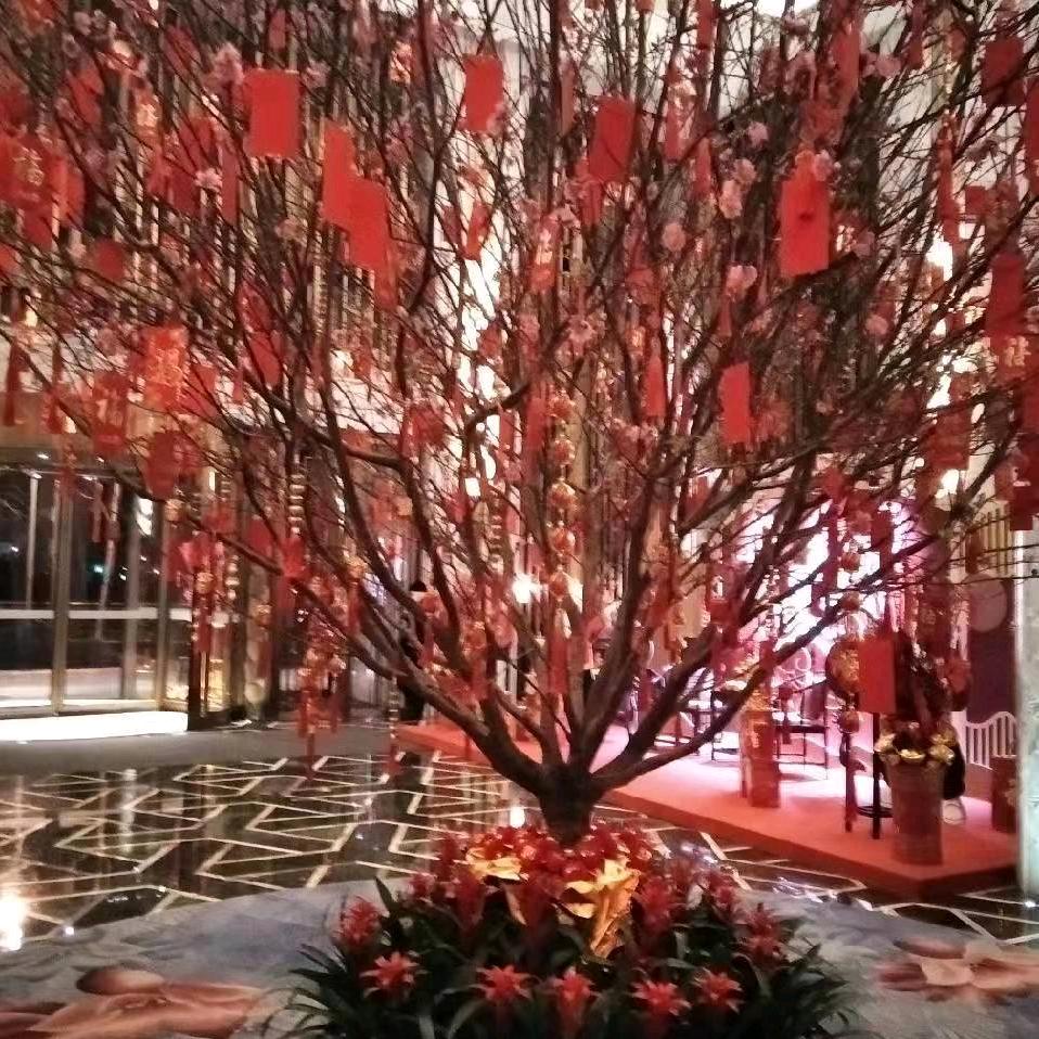 揚帆起航
