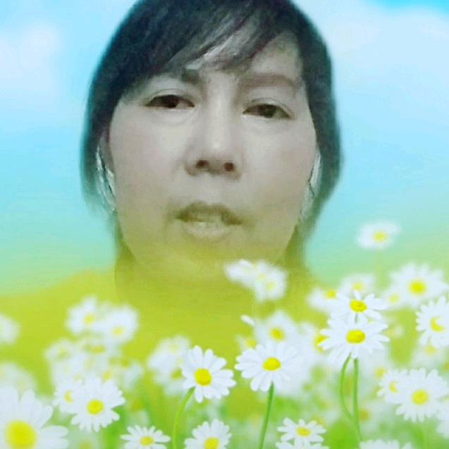 一枝梅