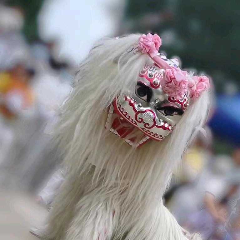 郑州舞狮团小白狮