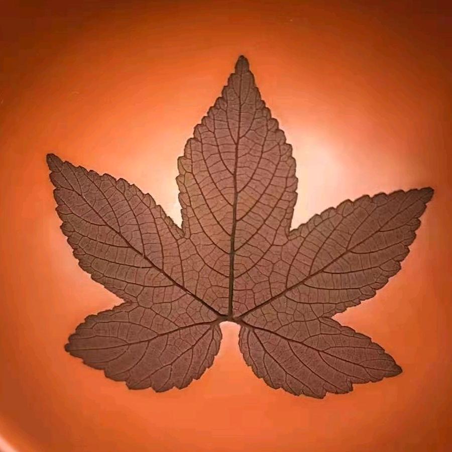 西宁市城西区天福满茶茶叶店