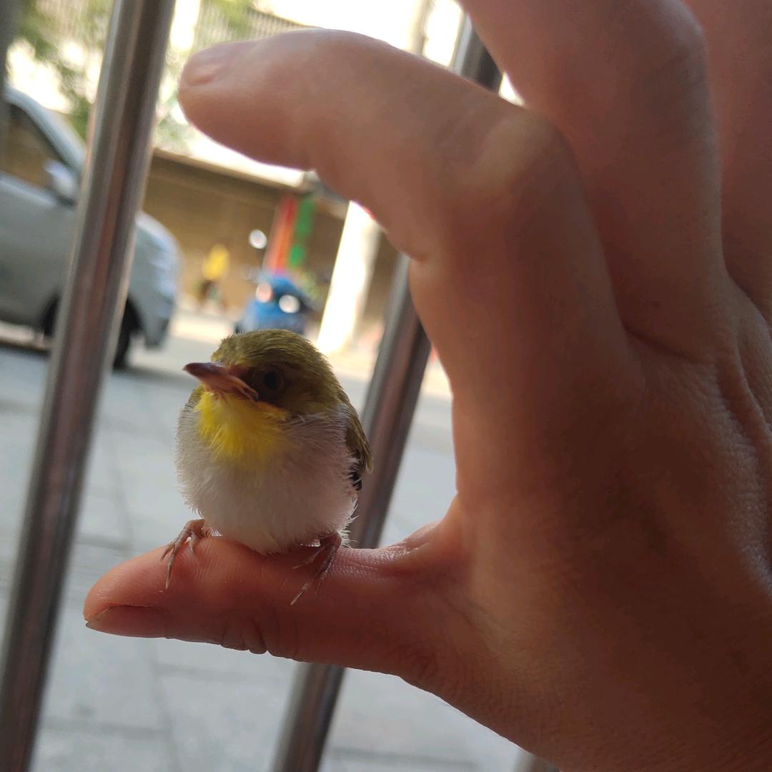 🍹༄༅鄂女♥湘媳༄༅🌿