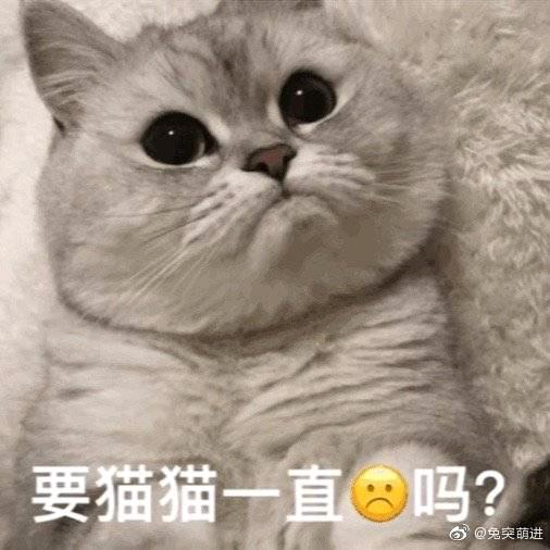 伸个懒腰