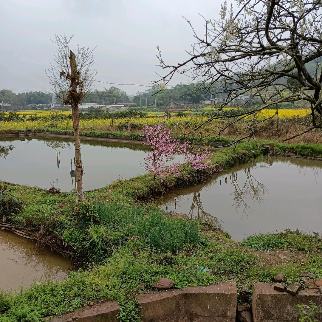 闲慧