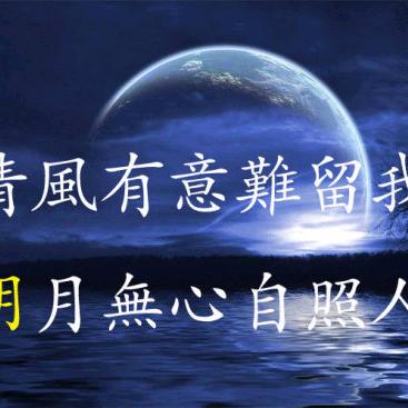 用户雨中孤雁，冰山上来客