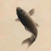 珅似海
