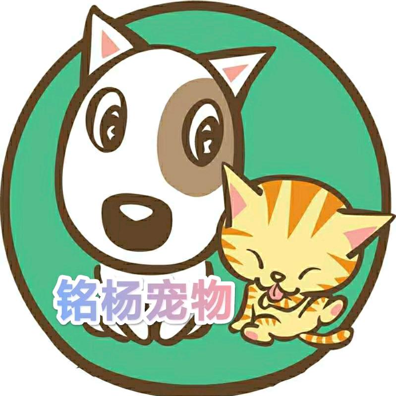 铭杨宠物用品严选