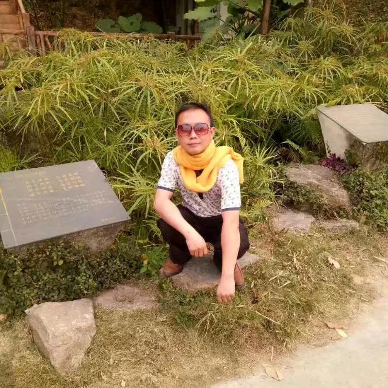 没有感情的杀手