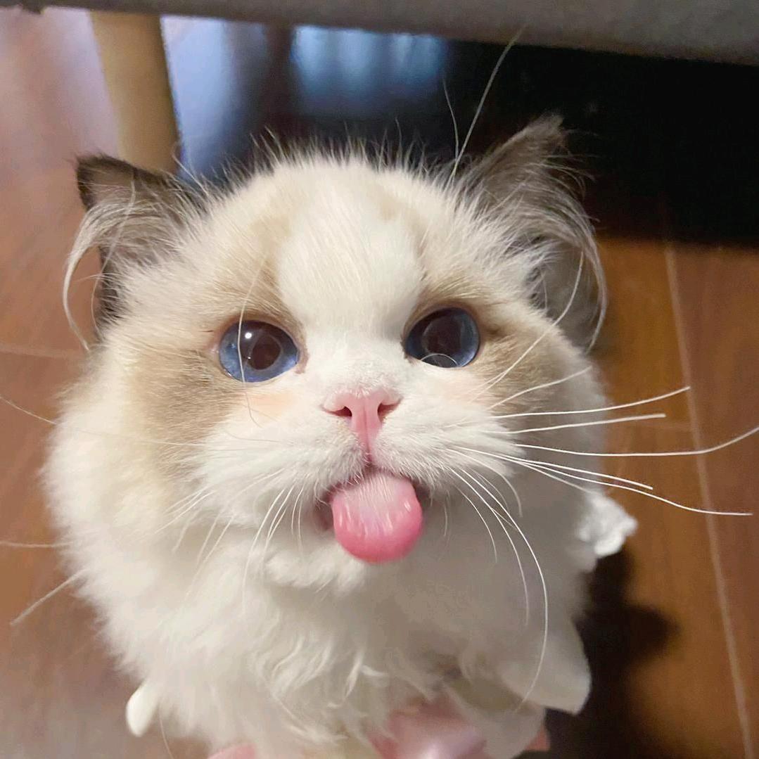 西宫硝子