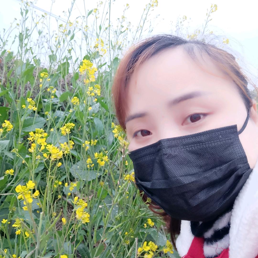 乡村♥红梅