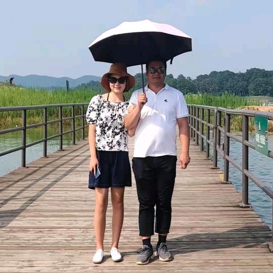 马上郑钱