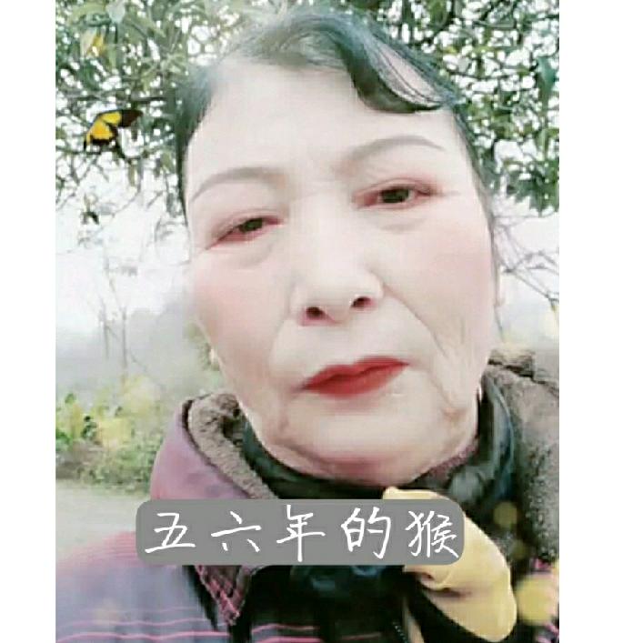 抖着休闲