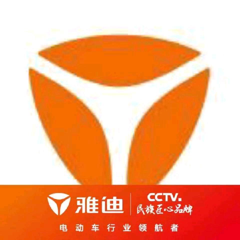 岱山雅迪