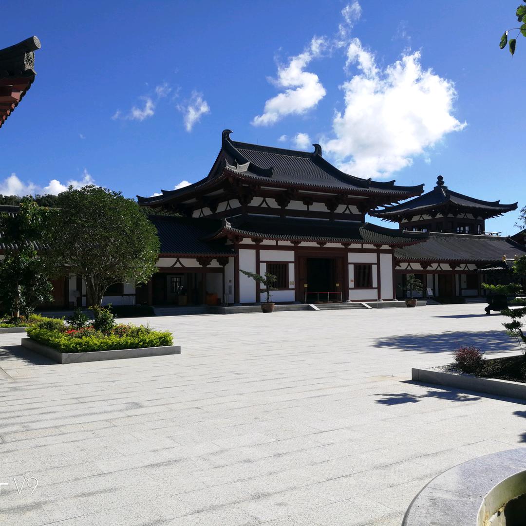 莲花🌸