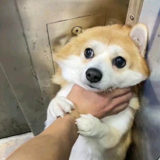 ̶被遗忘的青春