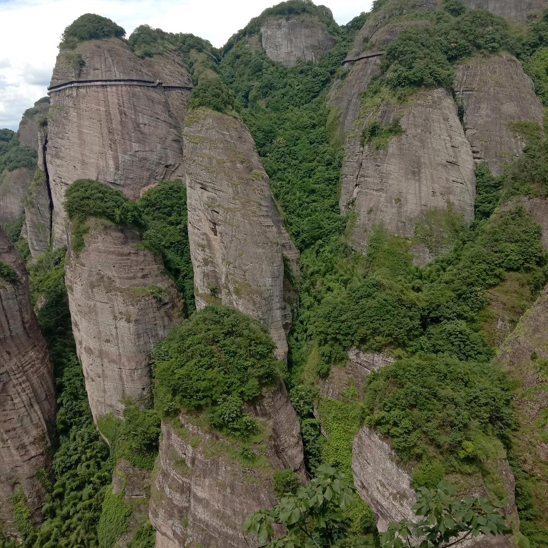 红萍果