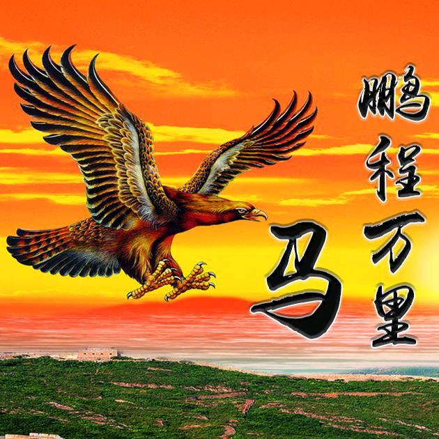 朋程万里