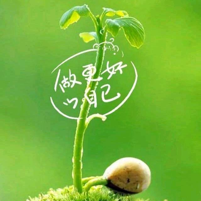 小凯民间故事