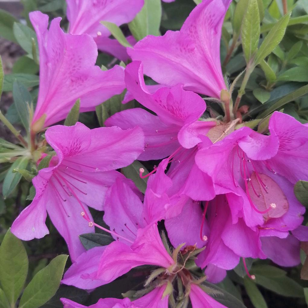 ♥((„ಡ微笑前行 (ಡ„))♥