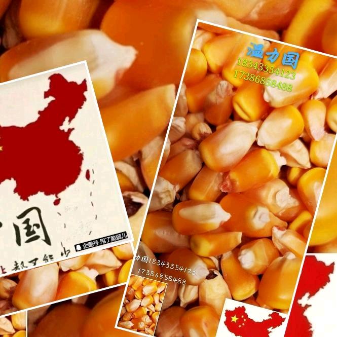 国泰民安粮业