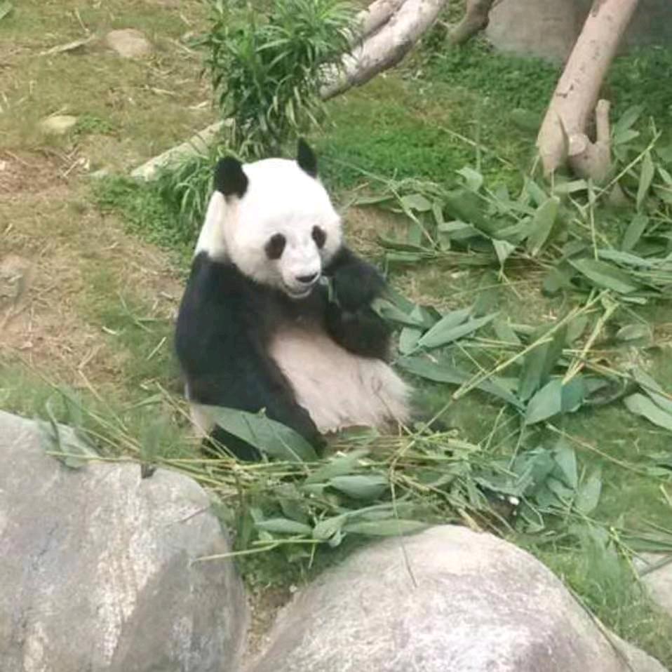 瑜霞