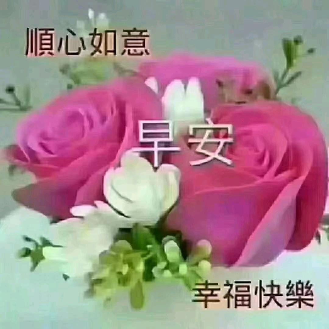 越来越好，越来越好