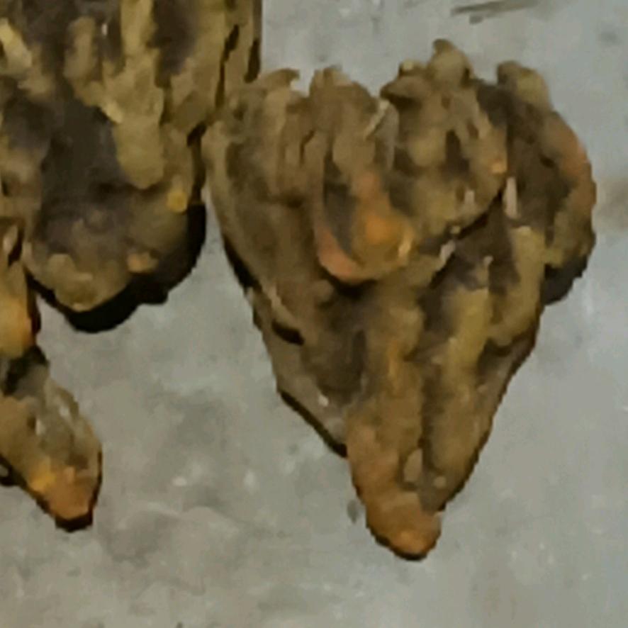 海一杆