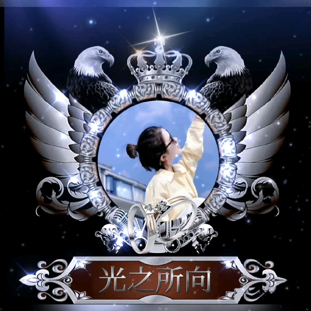 光之所向