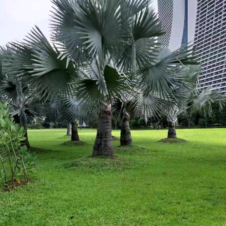 牵挂