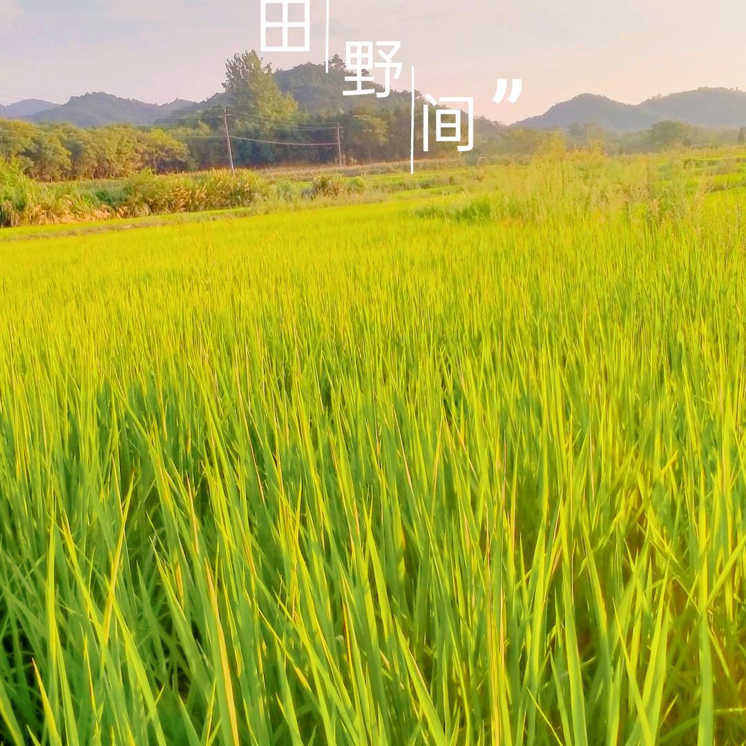 吃不胖的白骨精