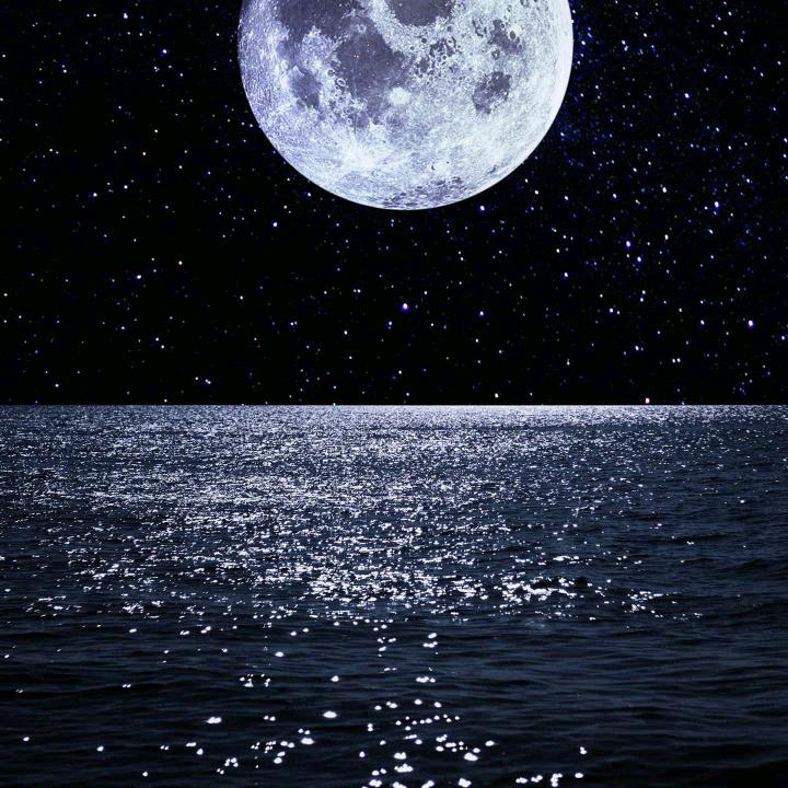 李李李李灬李先生