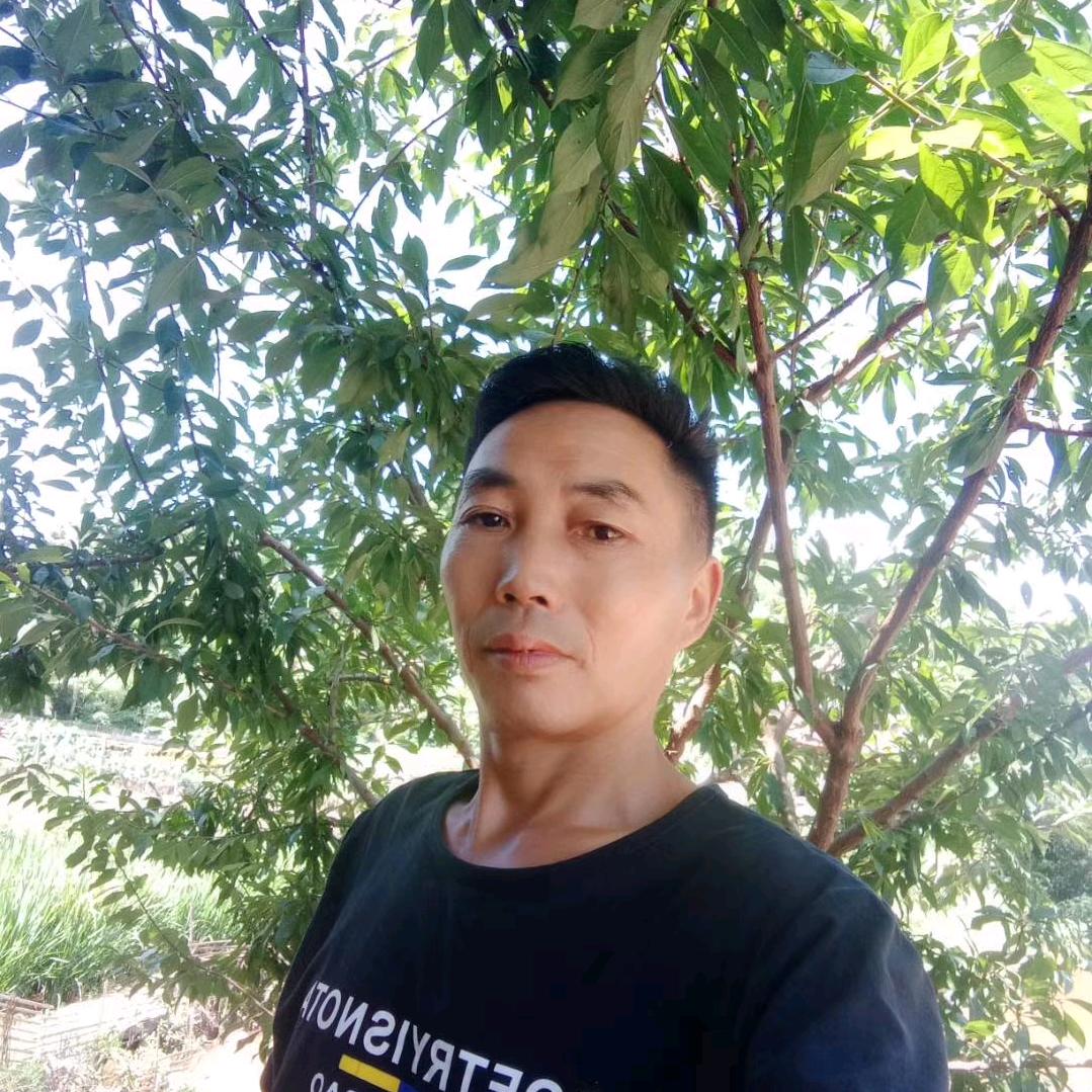 家和万事兴。李